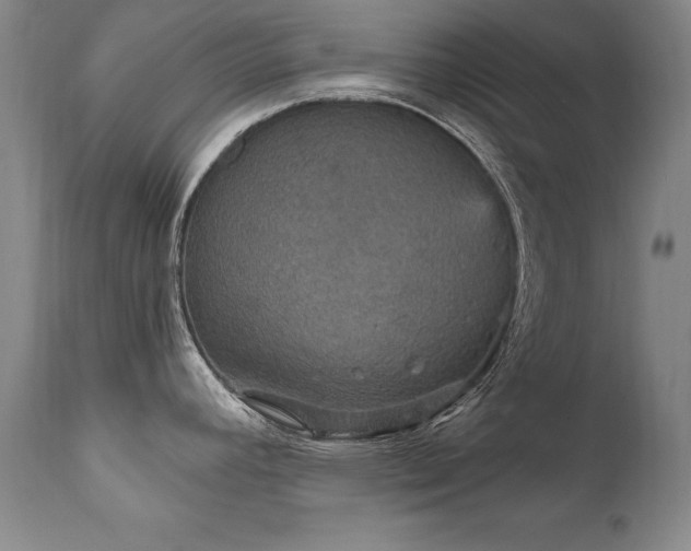 X0000111911392200907271211