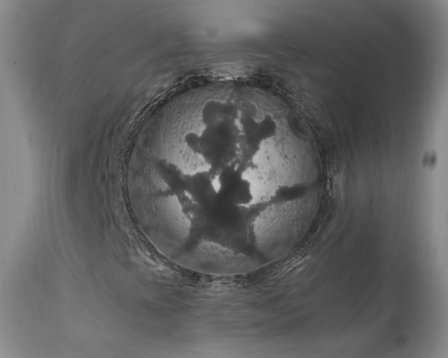 X0000111911393200907271210