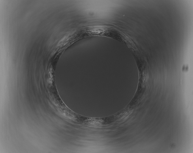 X0000111911394200907271210