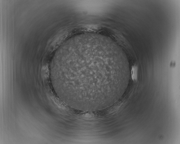 X0000111911395200907271210