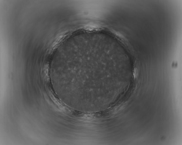 X0000111911396200907271210