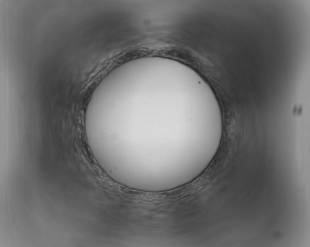 X0000111911397200907271210