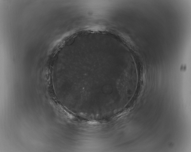 X0000111911398200907271210