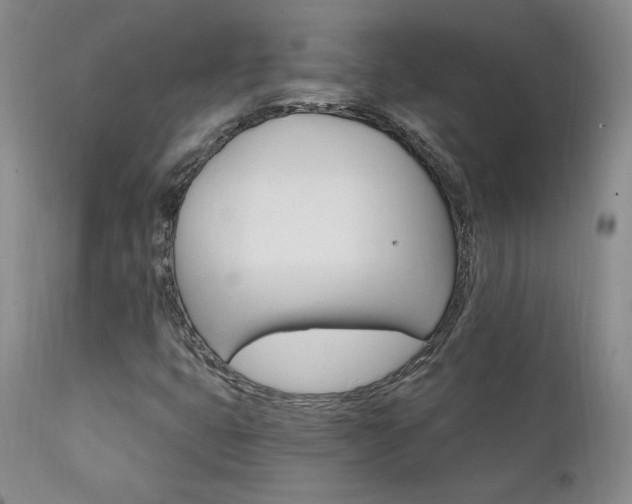 X0000111911399200907271210