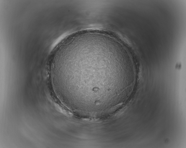 X0000111911400200907271210