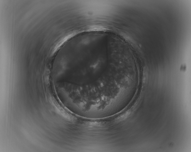 X0000111911401200907271210