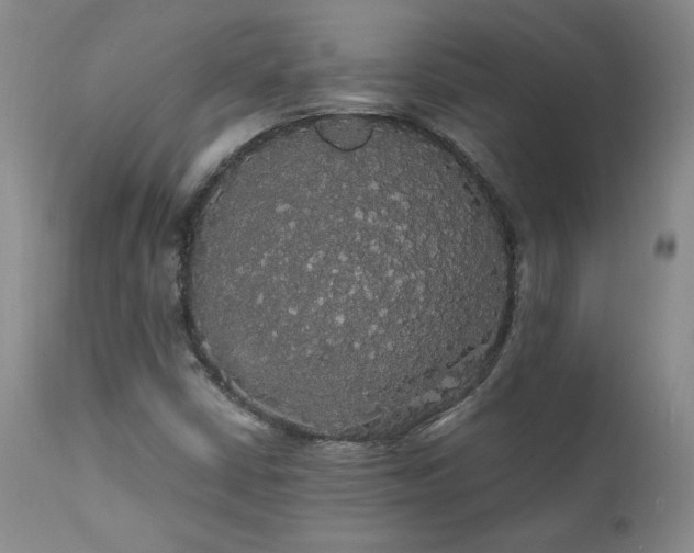 X0000111911402200907271210