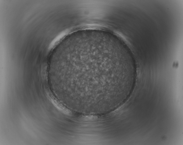 X0000111911403200907271210