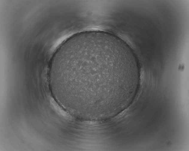 X0000111911404200907271210