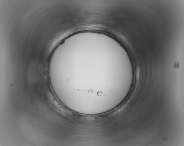 X0000111911405200907271210