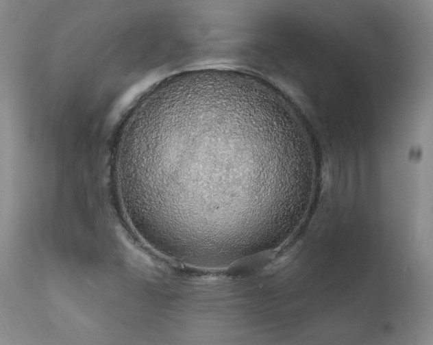 X0000111911406200907271210