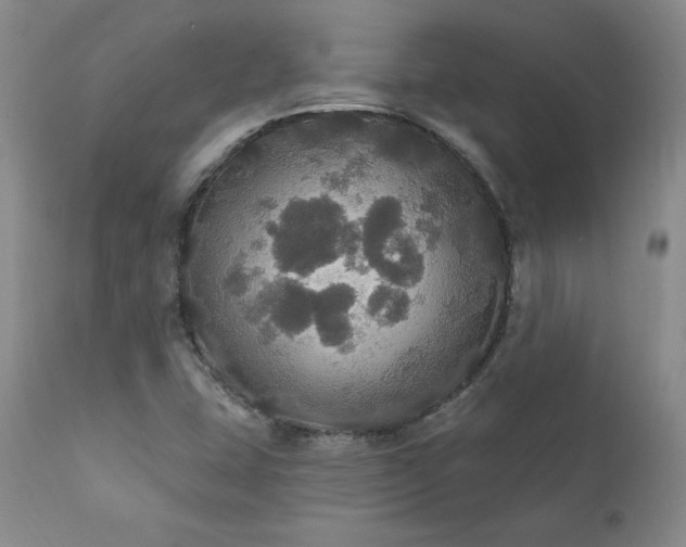 X0000111911407200907271211