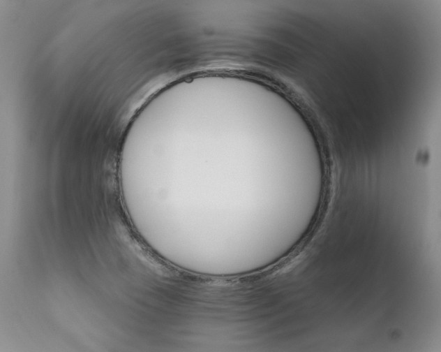 X0000111911409200907271211