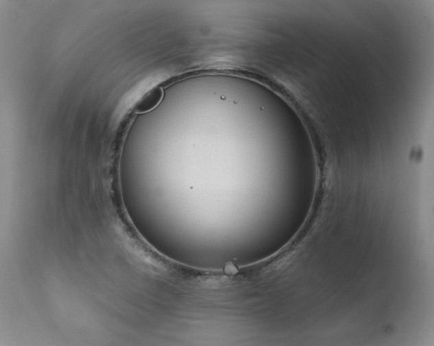 X0000111911410200907271211