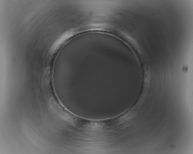 X0000111911411200907271211