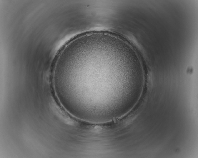 X0000111911412200907271211