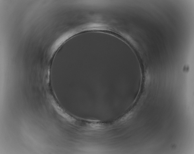 X0000111911413200907271211