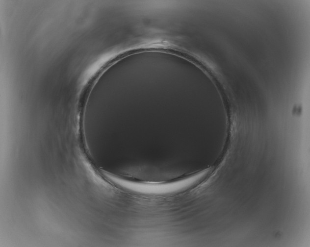 X0000111911414200907271211