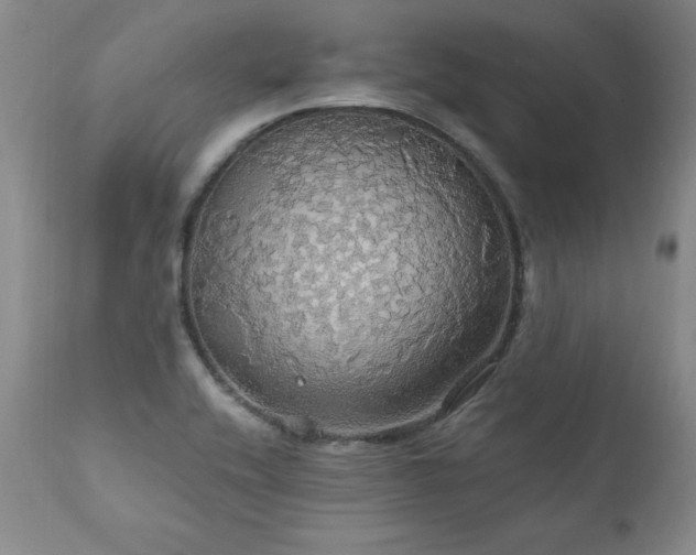 X0000111911416200907271211