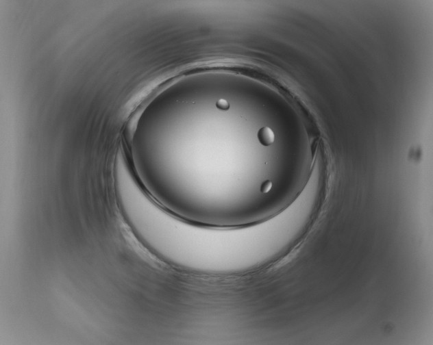 X0000111911417200907271211