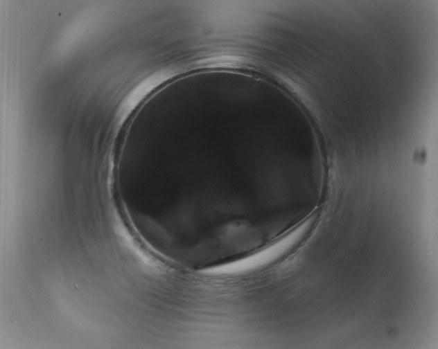 X0000111911418200907271211
