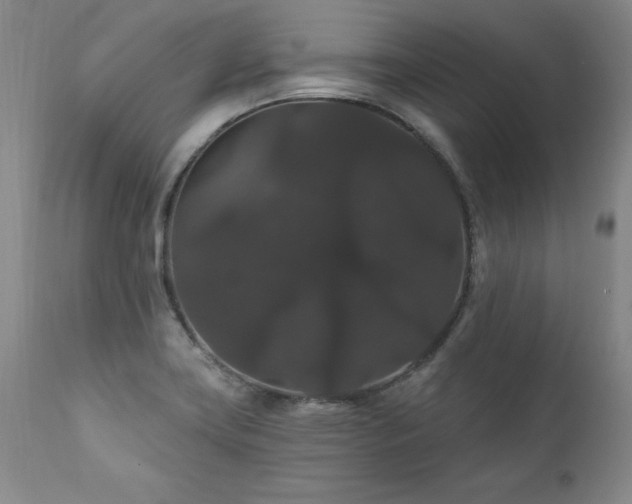 X0000111911419200907271211