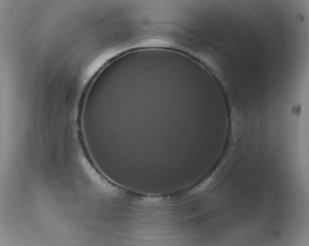 X0000111911422200907271211