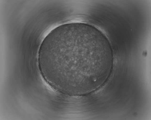 X0000111911423200907271211