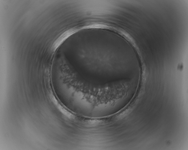 X0000111911425200907271211