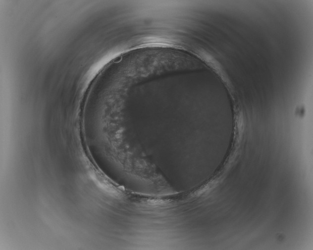X0000111911427200907271211