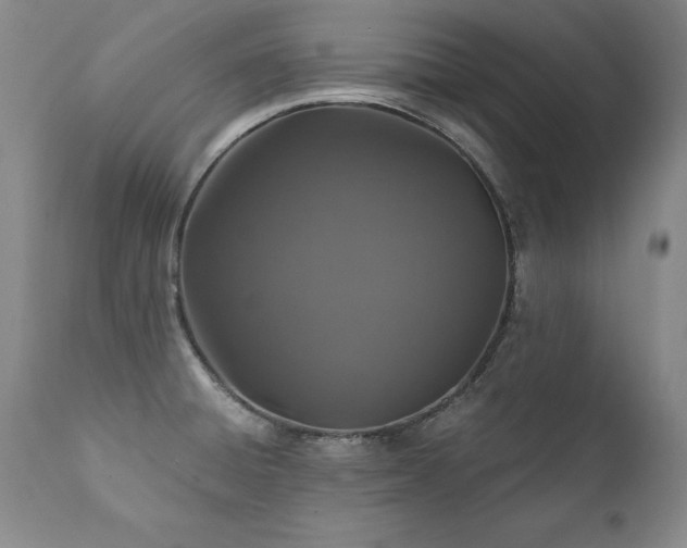 X0000111911428200907271211