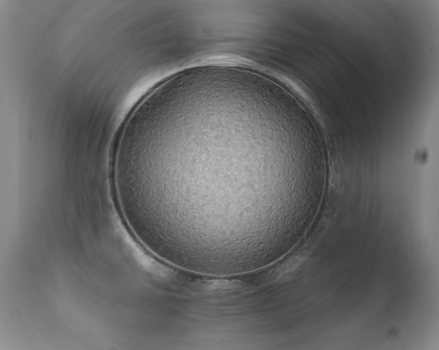 X0000111911430200907271211
