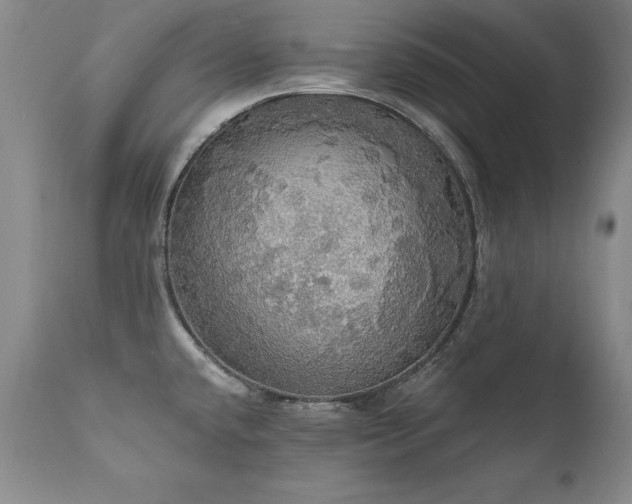 X0000111911432200907271211