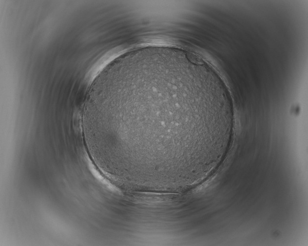 X0000111911433200907271211