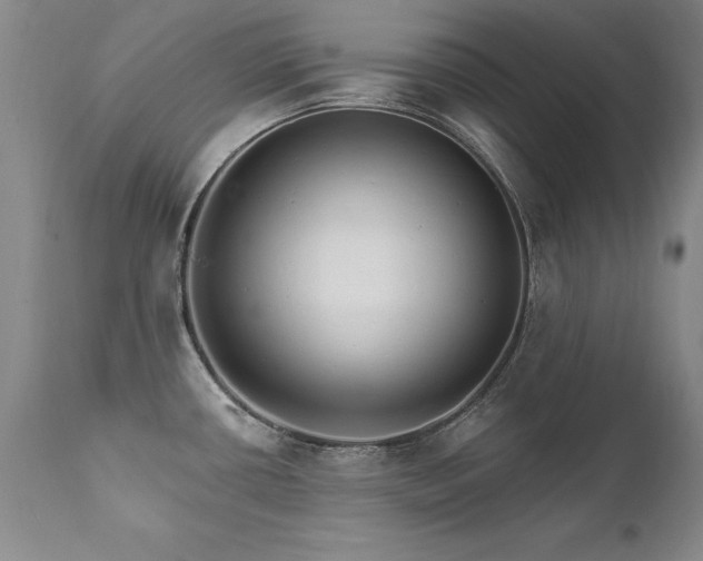 X0000111911434200907271211