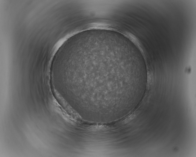 X0000111911435200907271211