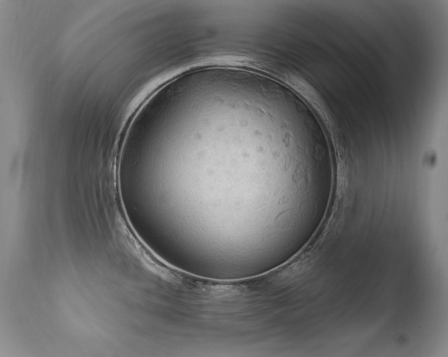 X0000111911436200907271211
