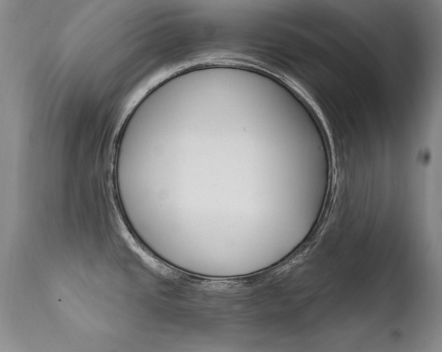 X0000111911437200907271211