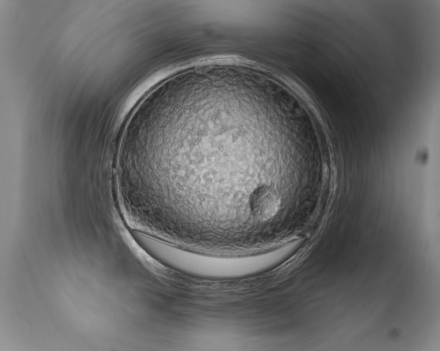 X0000111911438200907271211