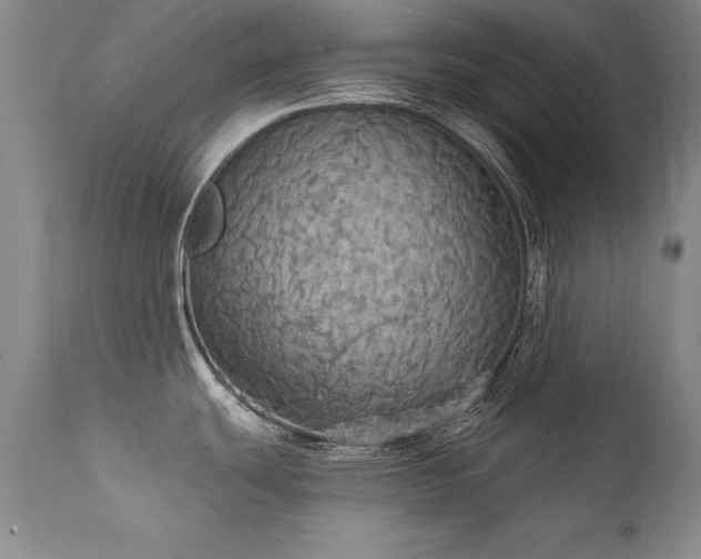 X0000111911439200907271211