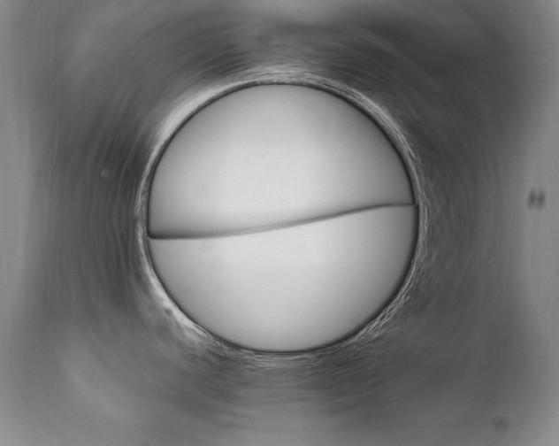 X0000111911440200907271211