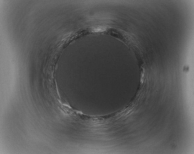 X0000111911441200907271210