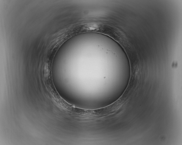 X0000111911442200907271210