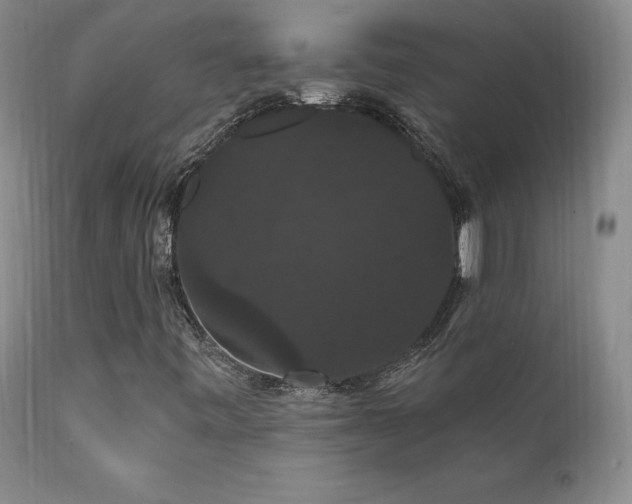 X0000111911443200907271210