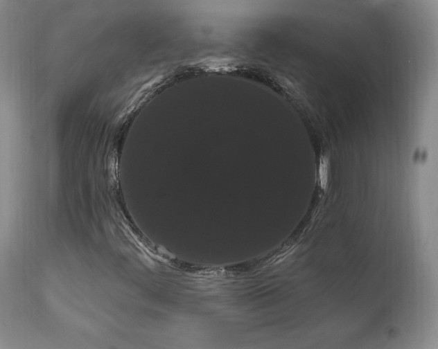 X0000111911444200907271210