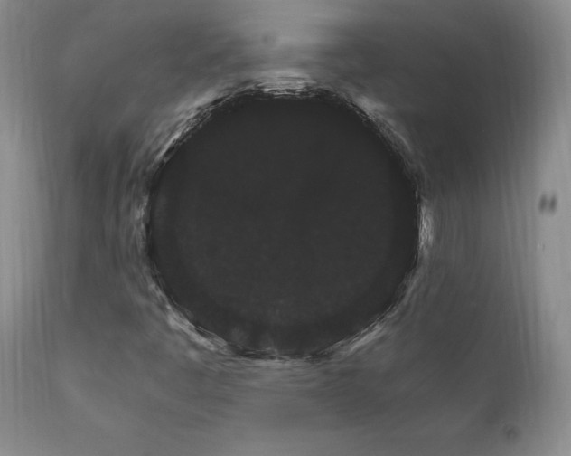 X0000111911445200907271210