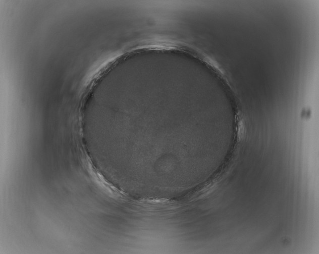 X0000111911448200907271210