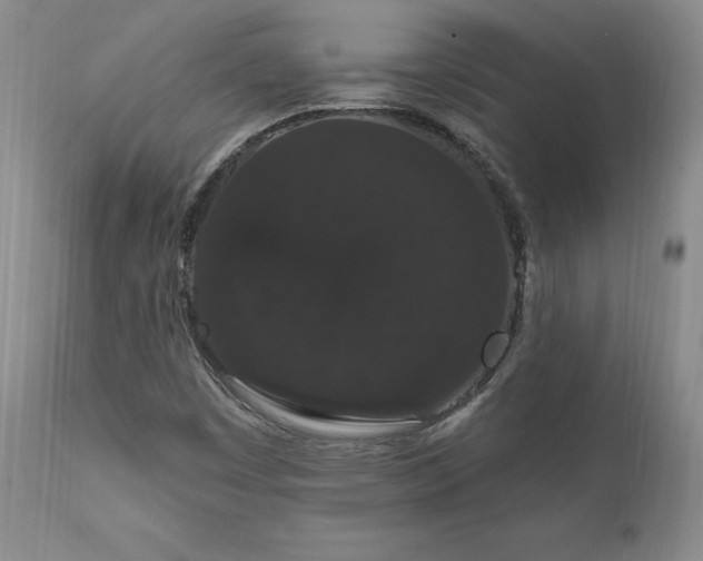 X0000111911449200907271210