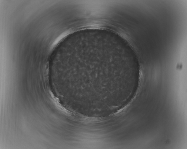 X0000111911450200907271210