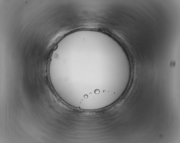 X0000111911451200907271210